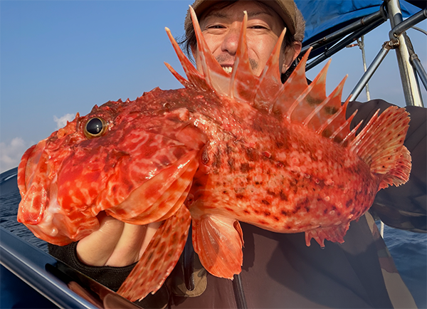 平舘海峡で狙うオニカサゴ